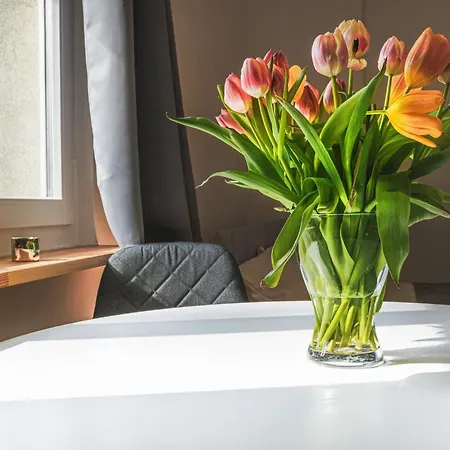 Apartment Klimatyczne Gniazdko Przy Rynku